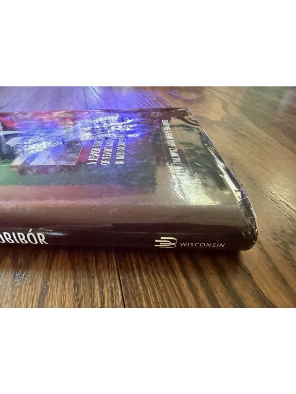 A‎ Promise at Sobibór: A Jewish Boy's Story of Revolt and Survival in Nazi: VG